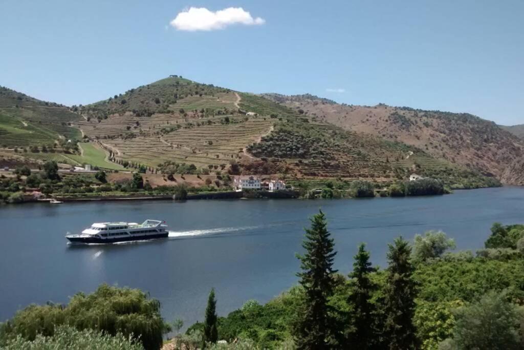 Casa Dos Vinhais - Douro Valley Coleja Екстериор снимка